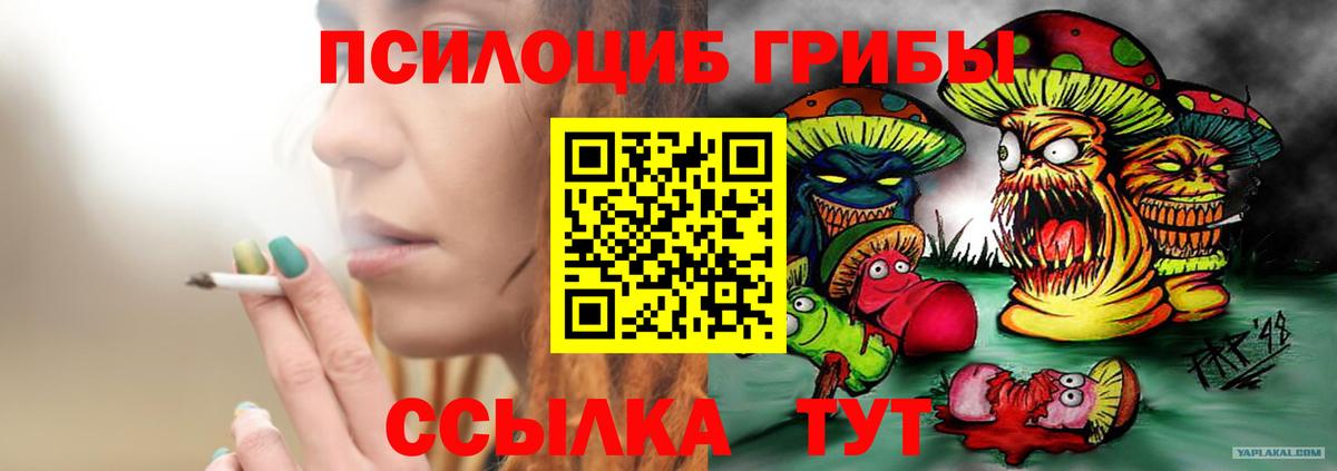 Псилоцибиновые грибы GOLDEN TEACHER Донской